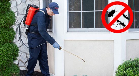 Yağcılar Akrep İlaçlama böcek ilaçlama ve haşere kontrolü — ilaclama-tr.com